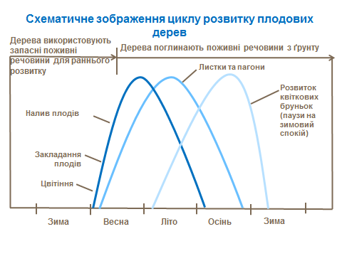 development cycle