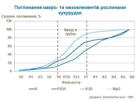 Nutrient uptake