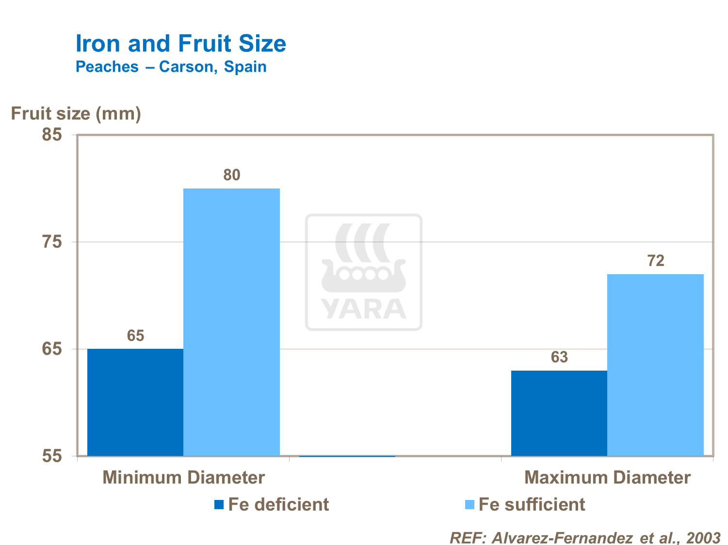 Iron and fruit size