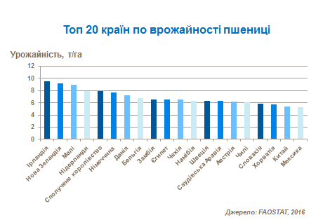 World wheat production