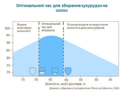 timing of harvesting