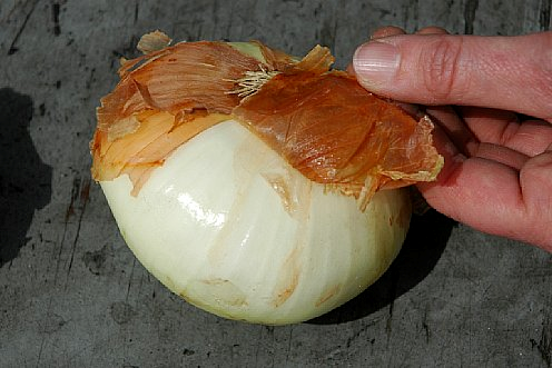 Кисла луска