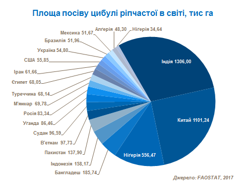 onion production