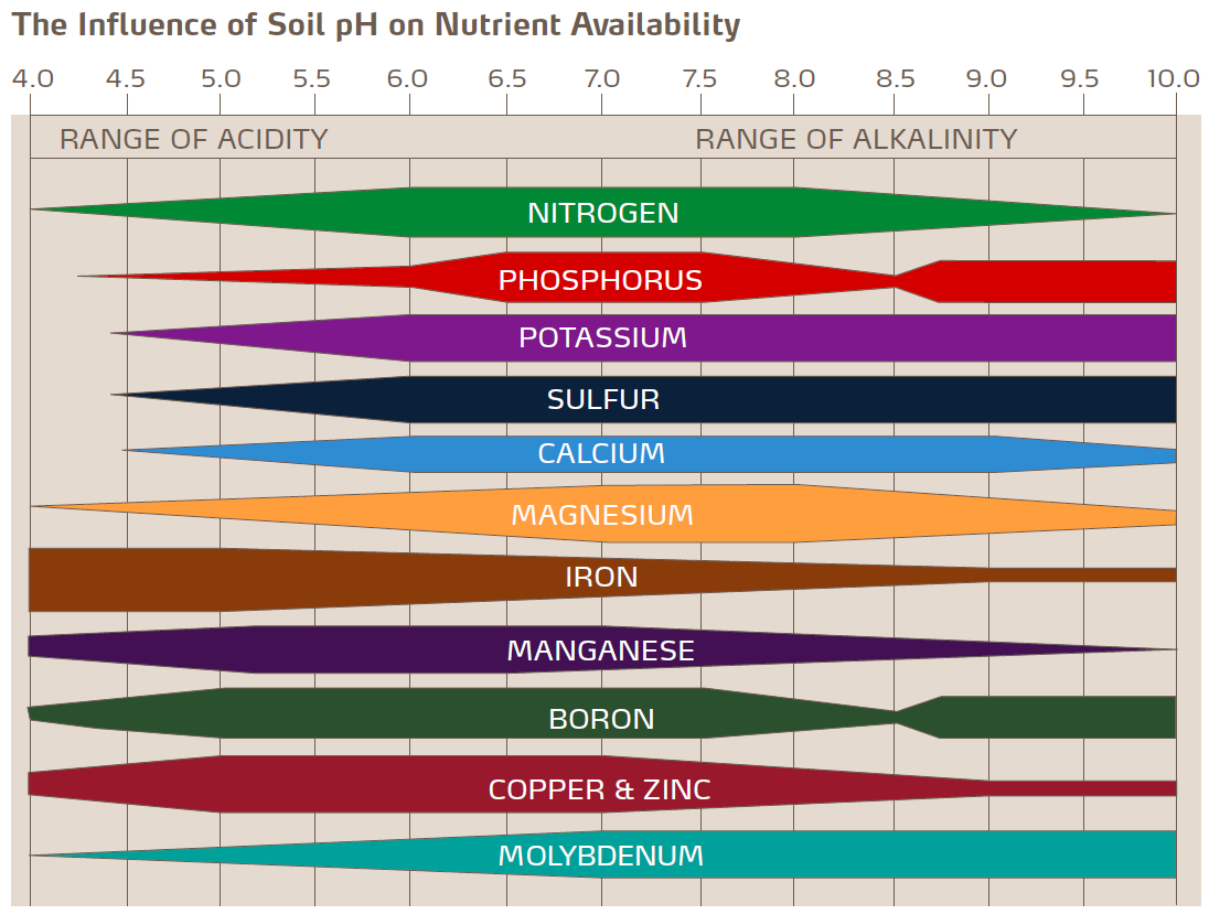 Influence soil Ph