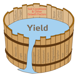 Пшениця - Баланс поживних речовин
