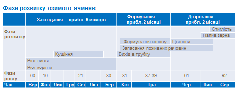 Growth stages of winter barley