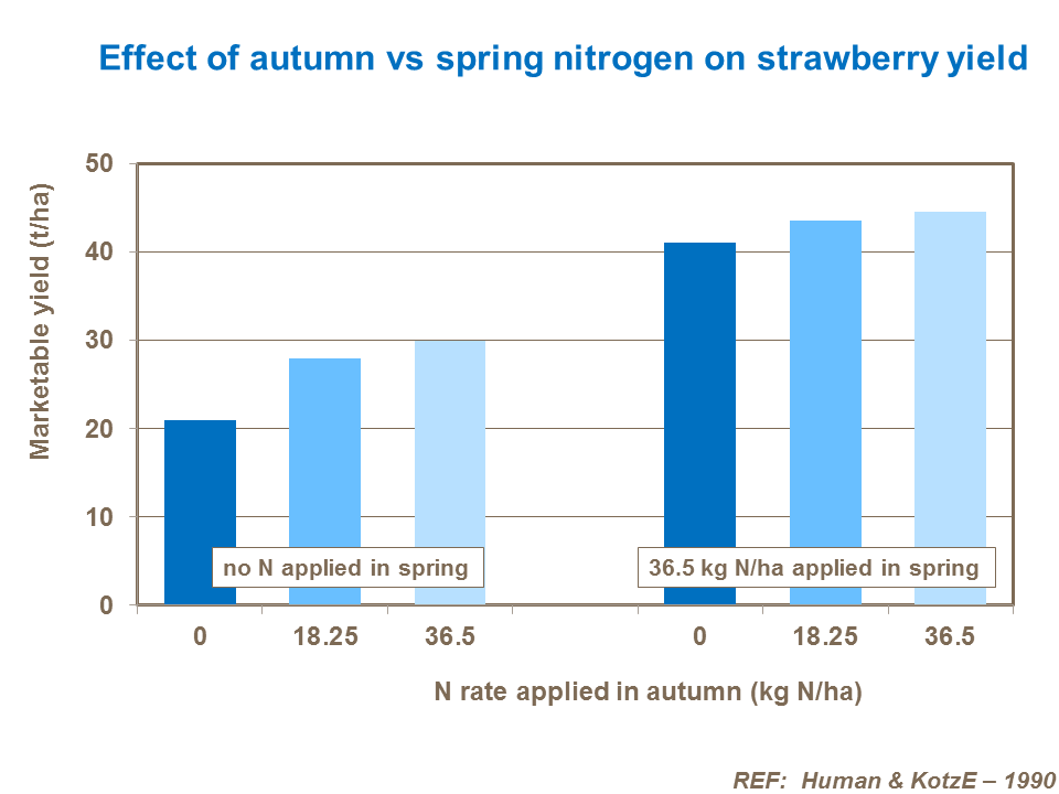 Autumn vs Spring N 