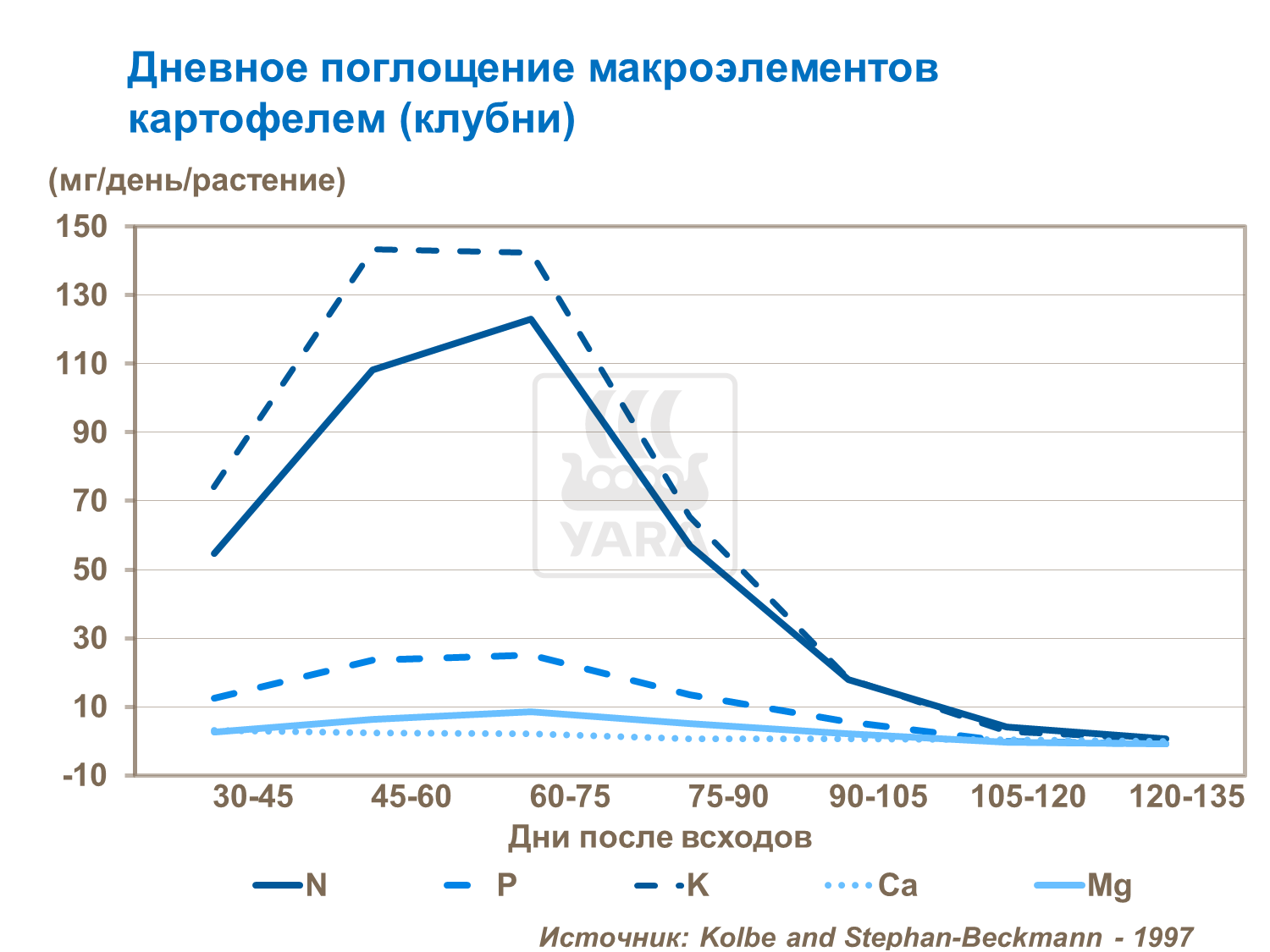 Поглинання макроелементів клубні