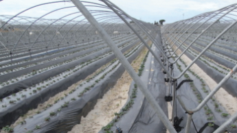 Пластиковий тунельний каркас