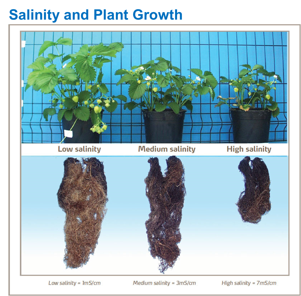 Salinity and Plant Growth