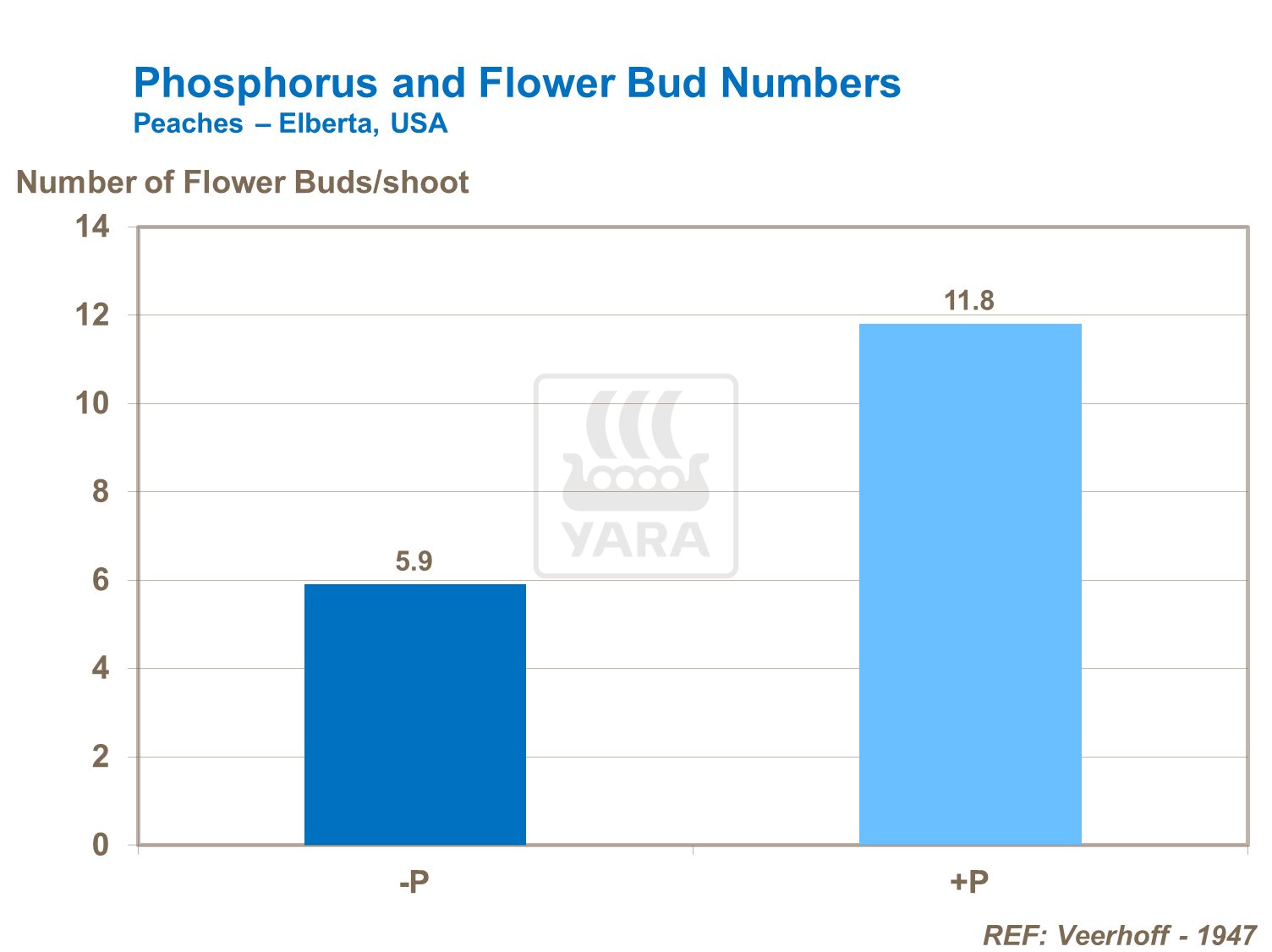 Phosphorous and Flower bud numbers