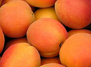 Apricots