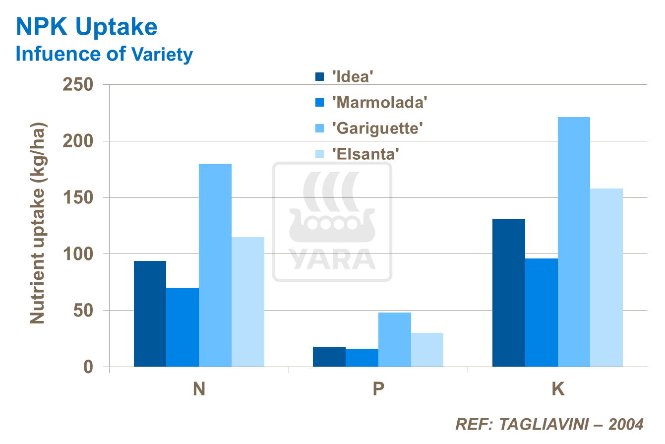 NPK uptake