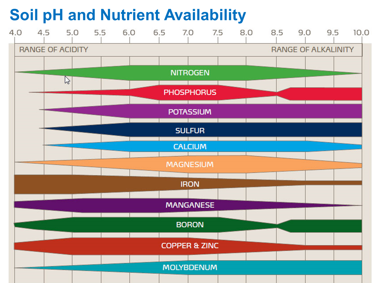 Soil Ph and Nutrient