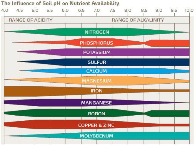 Influence of soil Ph 