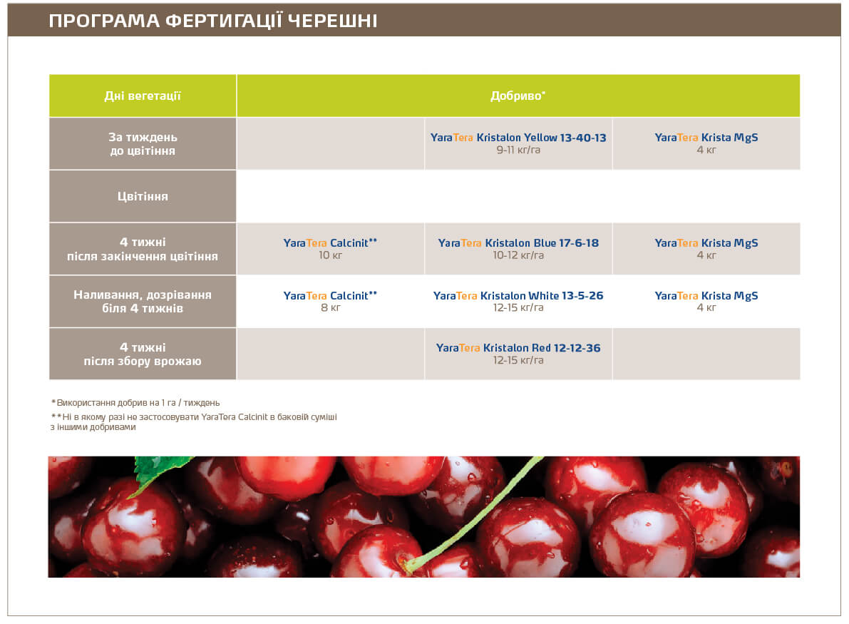 Sweet cherry fert 2021