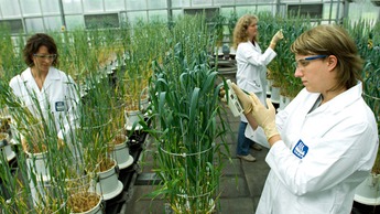 Розширення бізнесу