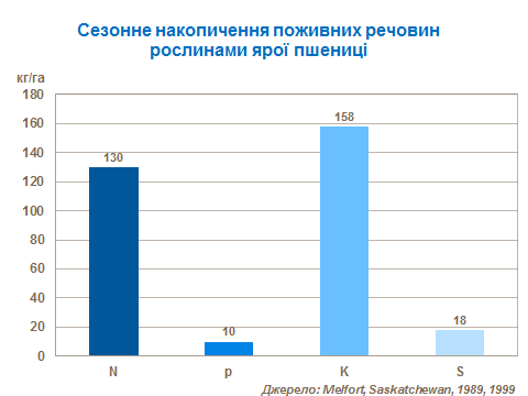 Seasonal nutrient accumulation of nutrient by spring wheat
