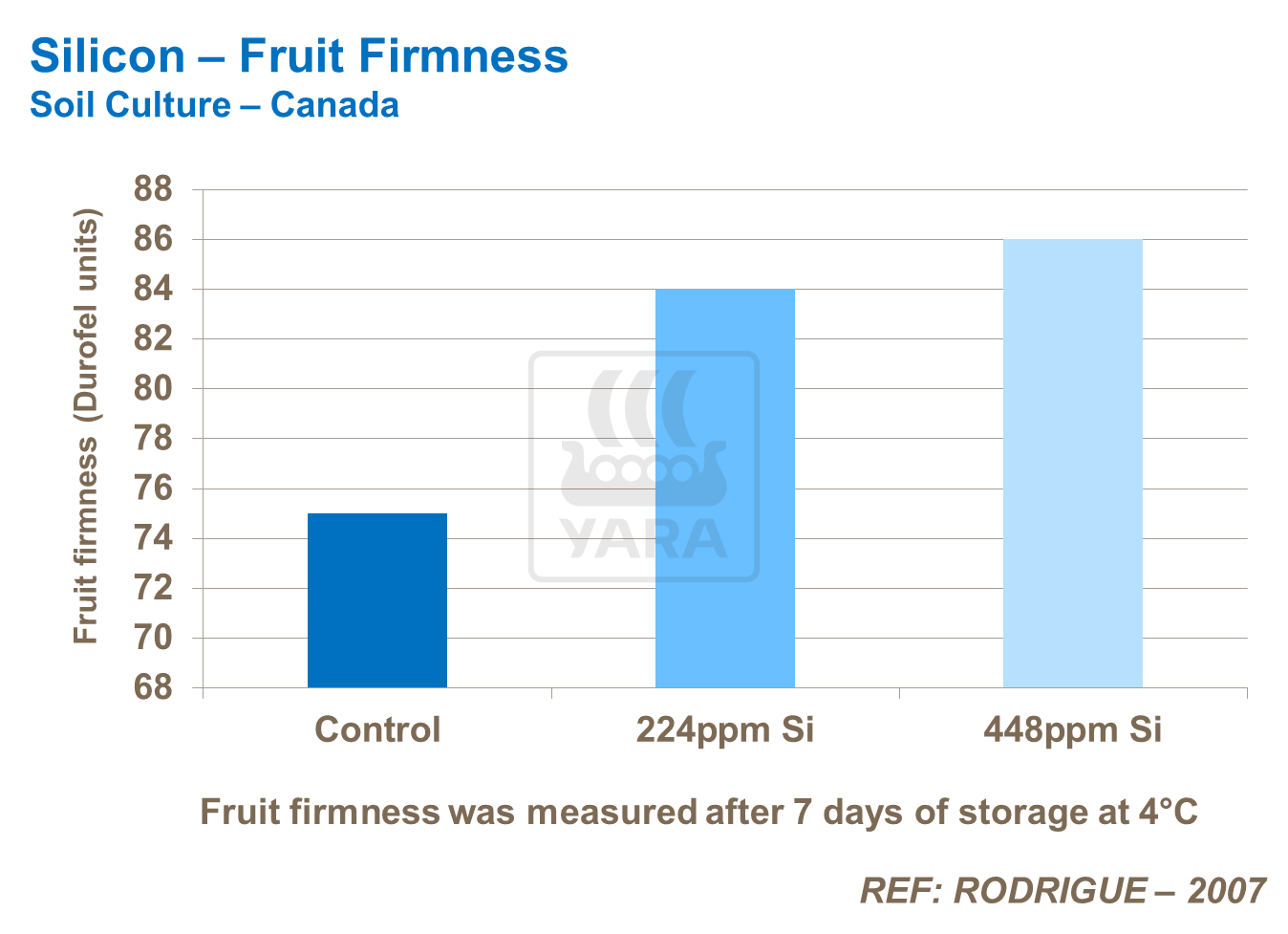 Silicon - Fruit Firmless