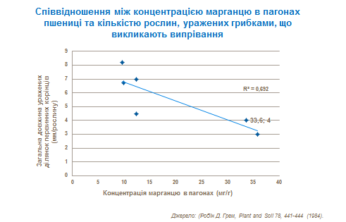 Спiввiдношення між концентрацією марганцю в пагонах пшеницi та кiлькiстью рослин, уражених грибками, що викликають випрiвання